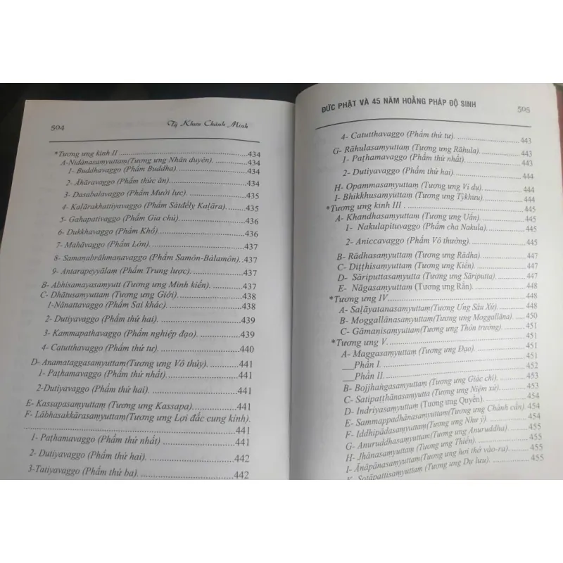 Đức Phật Và 45 Năm Hoằng Pháp Độ Sinh - tập 13 756002