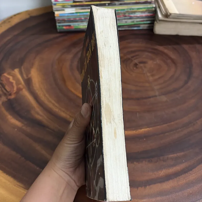 II Văn Học: Bóng Tối Trỗi Dậy - SUSAN COOPER - 2008 998066