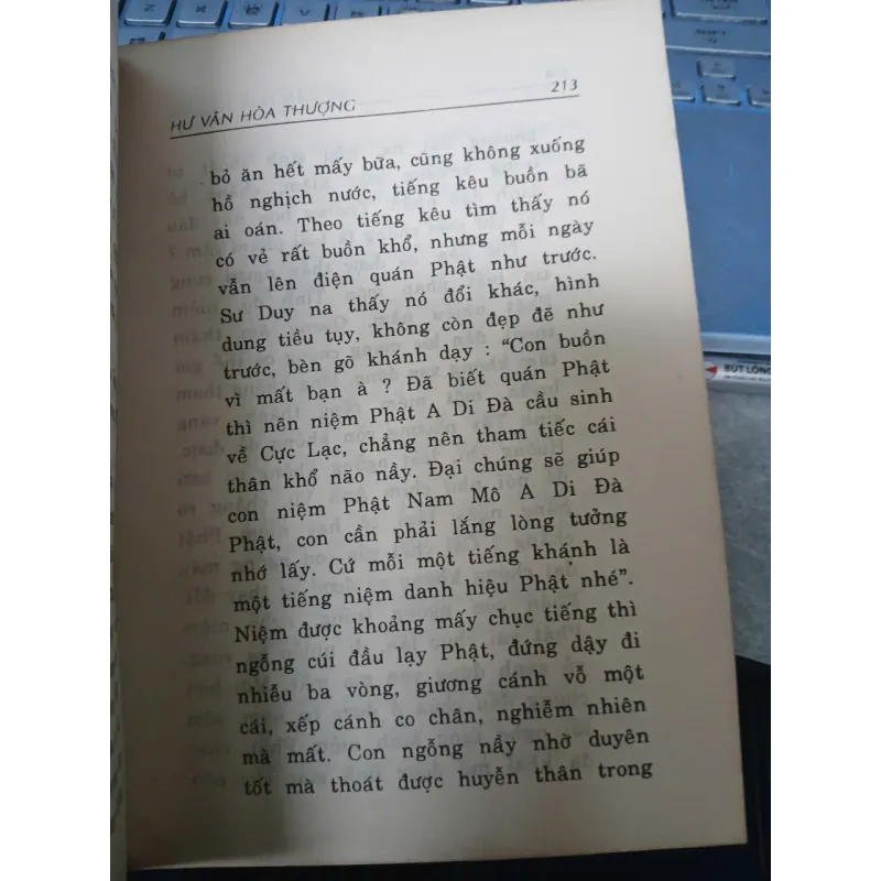 TỰ TRUYỆN HƯ VÂN HÒA THƯỢNG - CHÂU THỦY DỊCH THUẬT 1025709