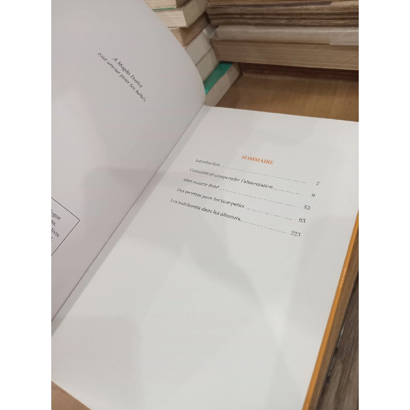 L'alimentation des tout-petits - C. Ripault, M-C. Bisson 1022667