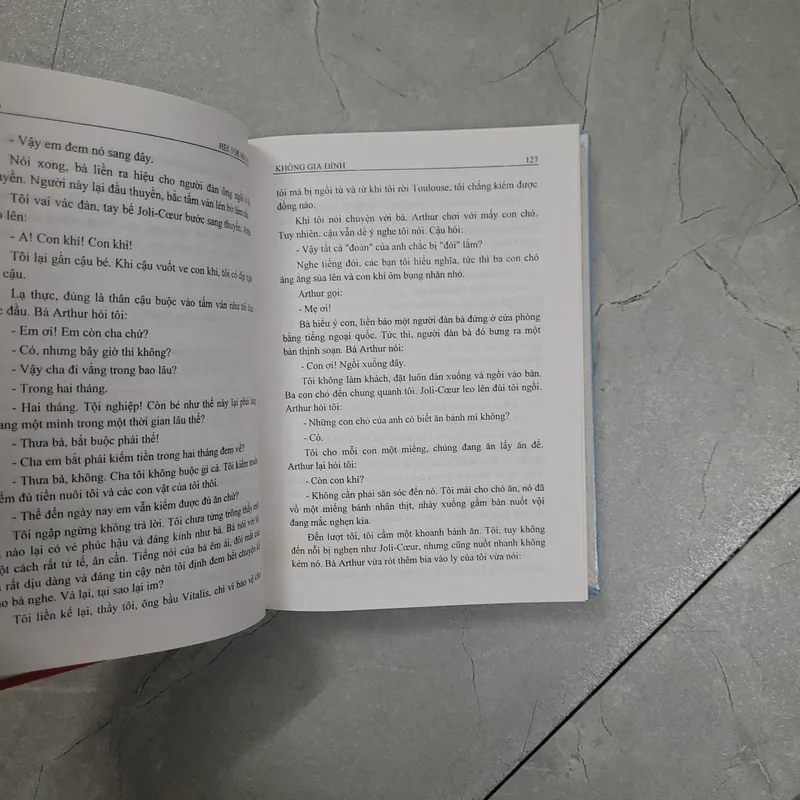 Không Gia Đình - Bìa Cứng 735492