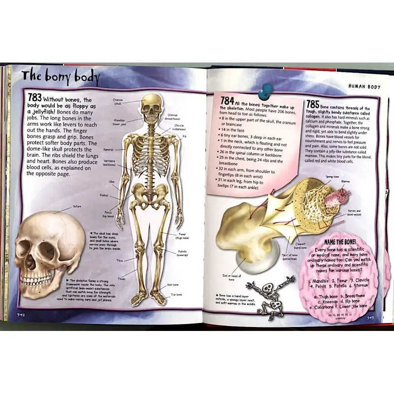FANTASTIC SCIENCE FACTS - MILES KELLY 1044771