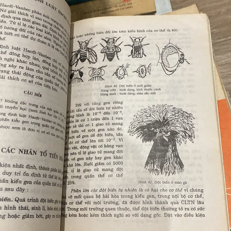 SINH HỌC 12 (XB 2002) 994050