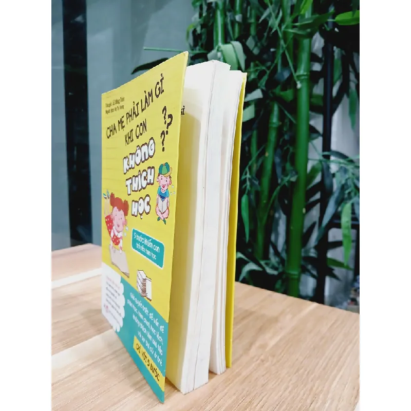 Cha mẹ phải làm gì khi con không thích học- Lỗ Bằng Trình 700784