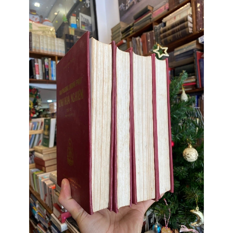 Đại Phương Quảng Phật Kinh Hoa Nghiêm - Thích Trí Tịnh dịch 762359