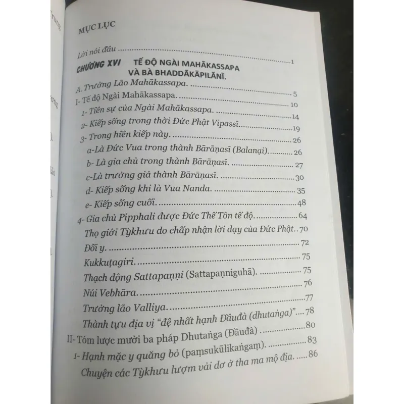 Đức Phật Và 45 Năm Hoàng Pháp Độ Sinh - Tập 8 756651