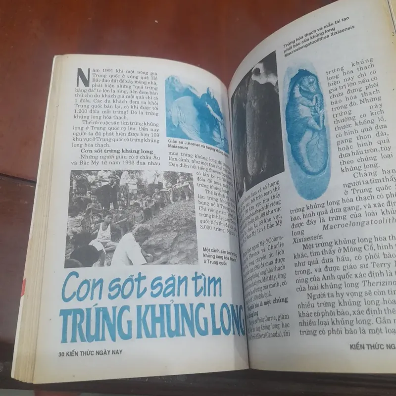 KIẾN THỨC NGÀY NAY số 209 ngày 10-5-1996 733984