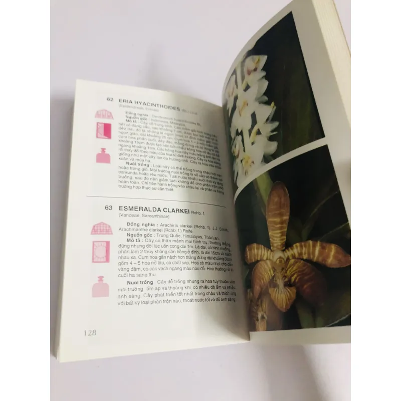 KỸ THUẬT NUÔI TRỒNG CẤY LAN 760013