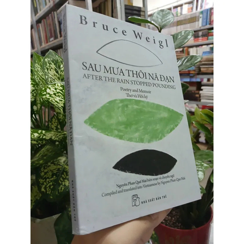 SAU MƯA THÔI NÃ ĐẠN - AFTER THE RAIN STOPPRED POUNDING 593337