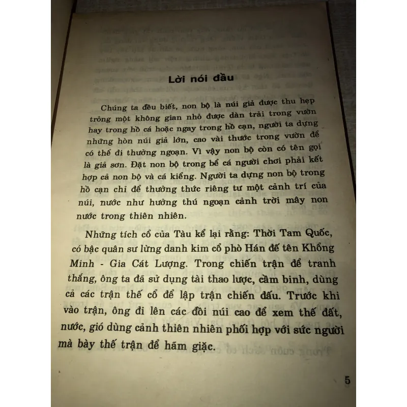 Nét phá trong non bộ  996428
