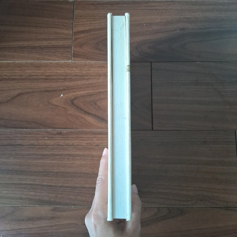 Thư pháp chữ việt 521346