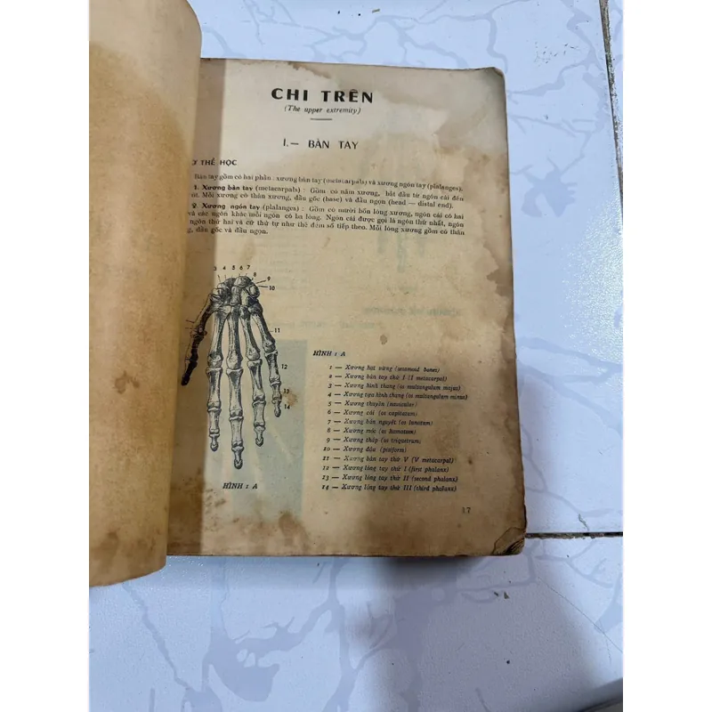 Những chiều thế chụp hình tia x 728307