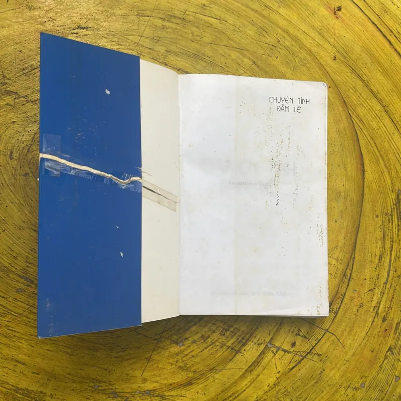 CHUYỆN TÌNH ĐẪM LỆ- AZIT NEXIN 709581