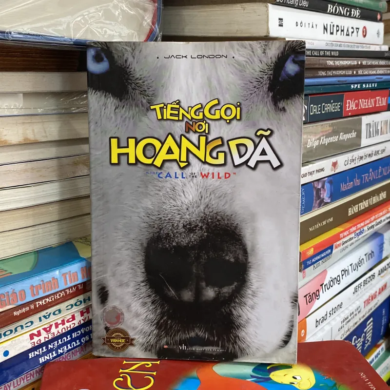 Tiếng Gọi Nơi Hoang Dã♟️ 748022