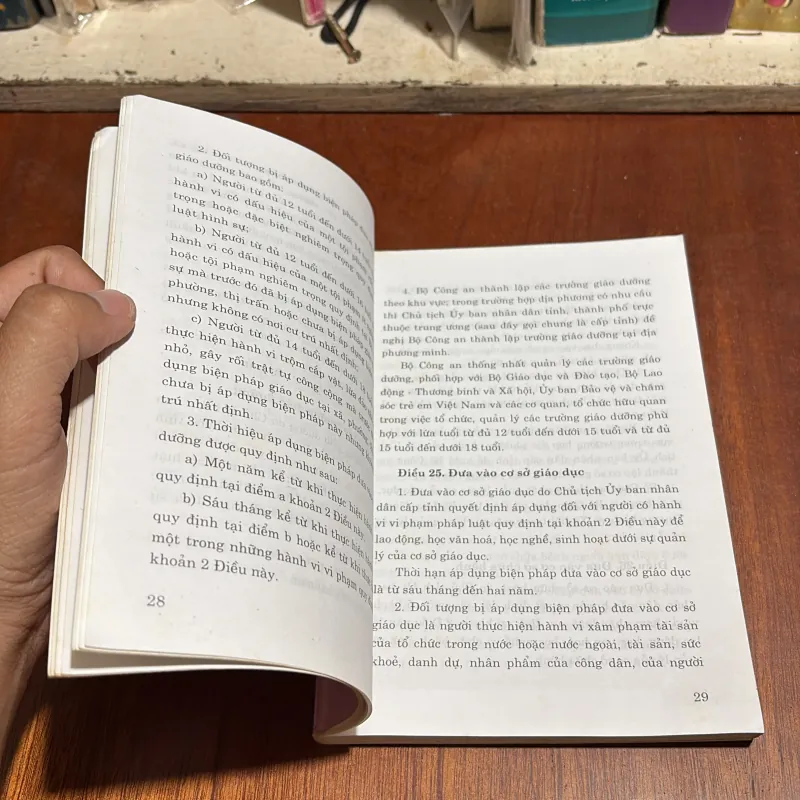 II Pháp Lệnh: Xử Lý Vi Phạm Hành Chính Năm 2002; Sửa Đổi Năm 2007 1002131