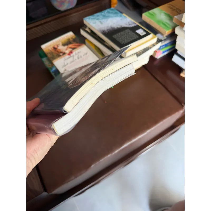 Văn Học Trung Đại Việt Nam (Trọn Bộ 2 Tập)- K2 992767