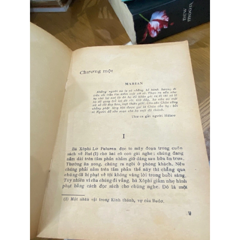 Tình chị duyên em ( trọn bộ 2 tập )- Elizabeth Goudge 524551