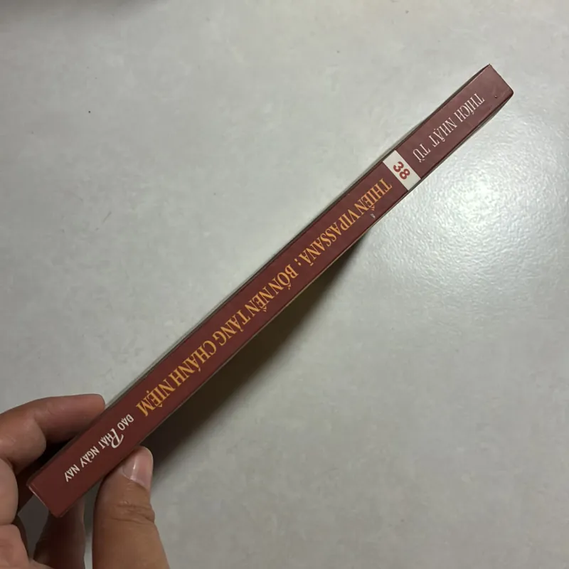 Thiền Vipassana 4 nền tảng chánh niệm 756276