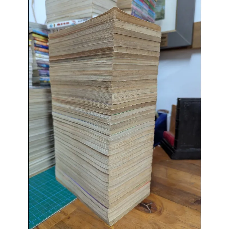 TRUYỆN TRANH Một Nửa RANMA - rumiko Takahashi 271066