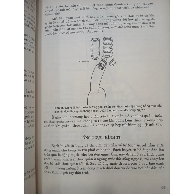 GIẢI PHẪU LÂM SÀNG - HAROLDELLIS 595411