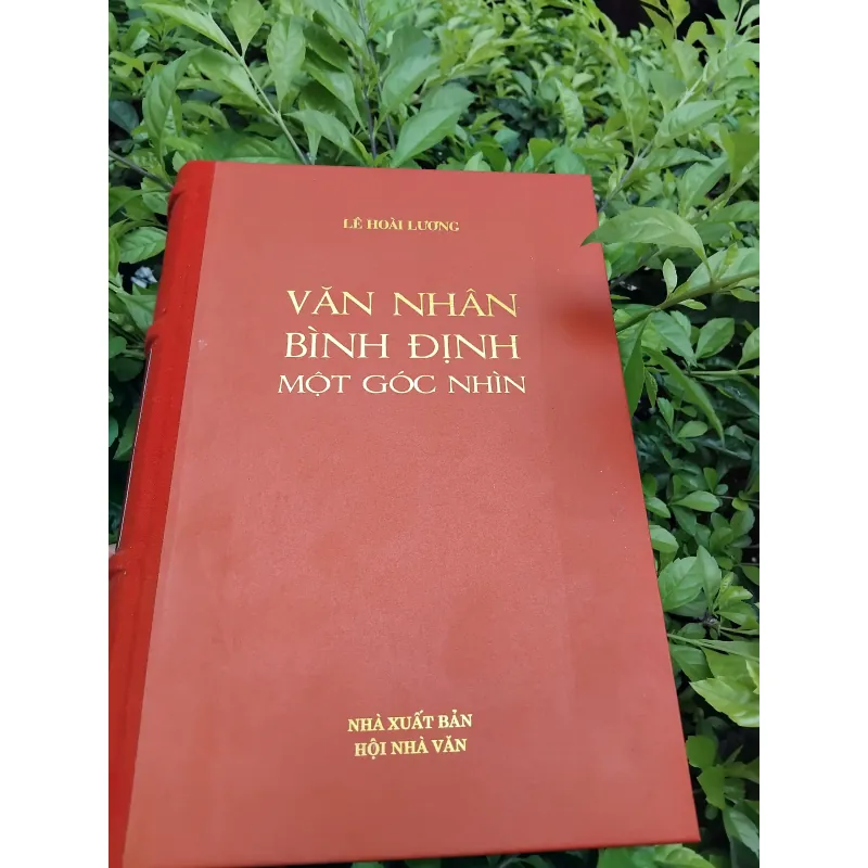 Văn nhân Bình Định một góc nhìn của Lê Hoài Lương  936642