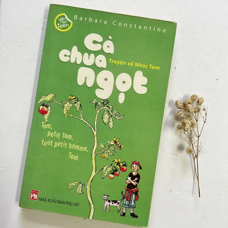 Cà chua ngọt - Barbara Constantine 597408