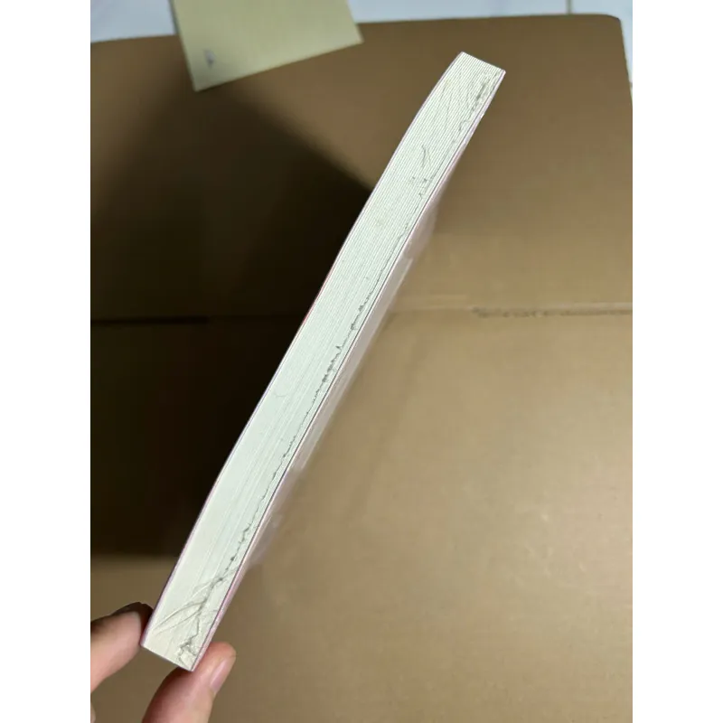 Tôi Thích Em, Như Gió Thổi Tám Nghìn Dặm 60k 735357