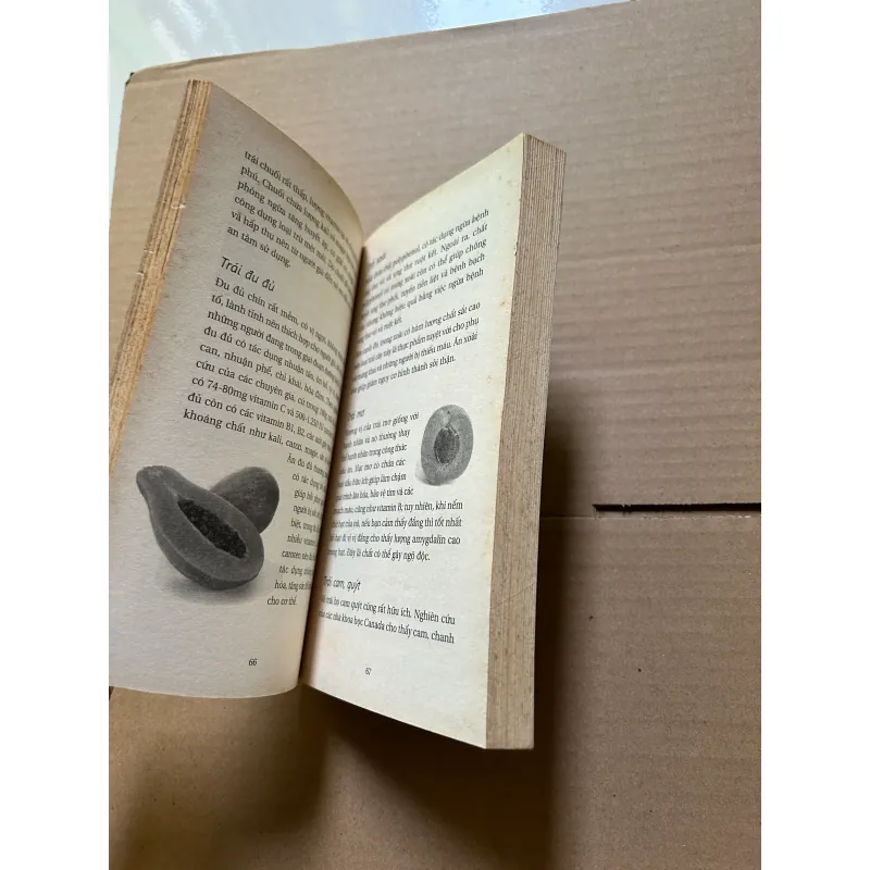 Trái cây món quà kỳ diệu của thiên nhiên 783614