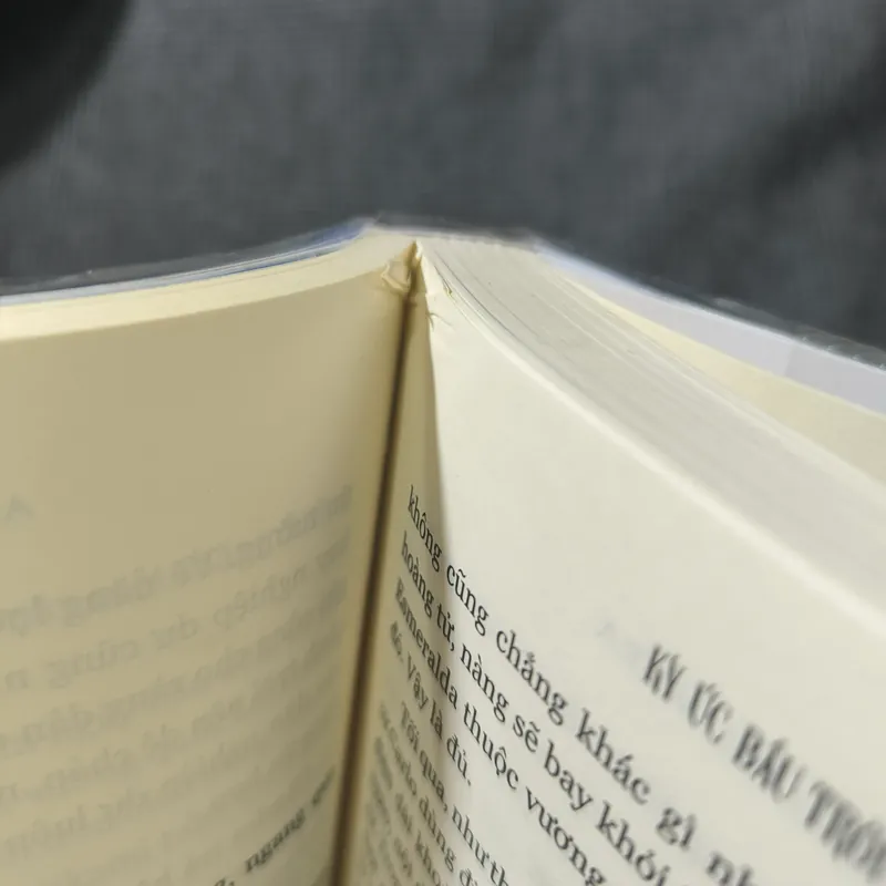 Ký ức bầu trời - Koroku Inumura - IPM - Giá bìa 115k 597878