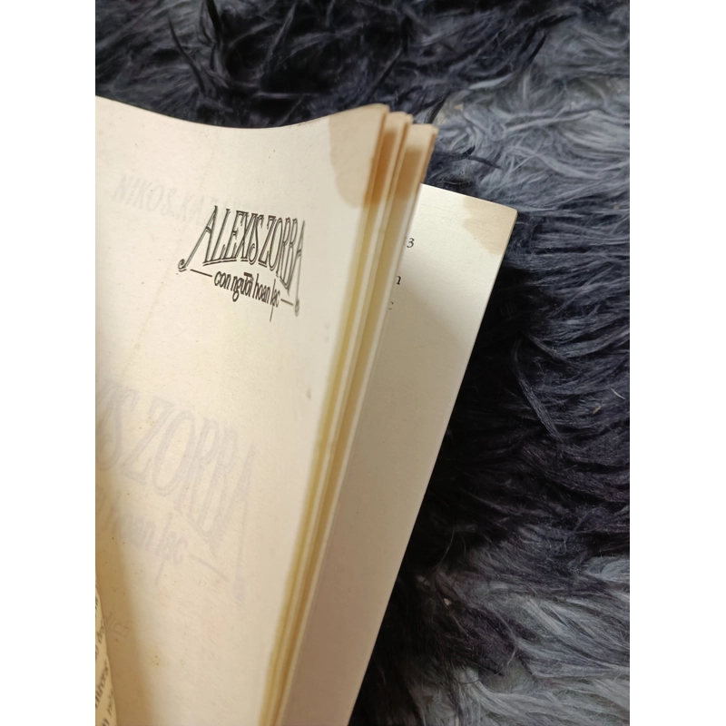Alexis Zorba con người hoan lạc 534924