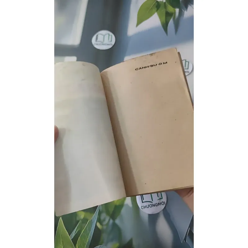 [XƯA] Cánh Bướm (1989) - Từ Kế Tường 997750