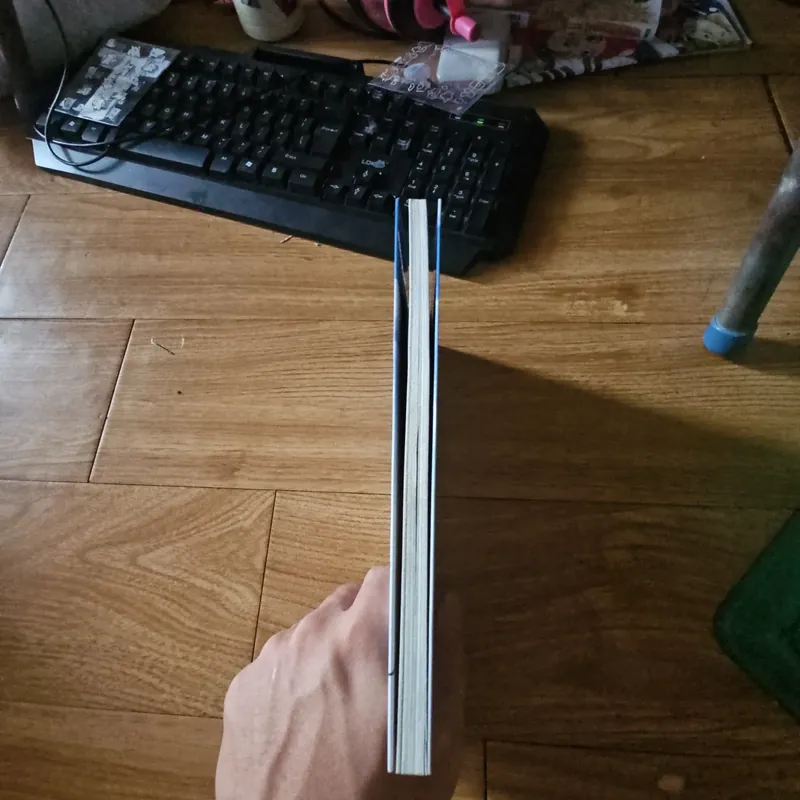 Chuyện con mèo dạy hải âu bay 20k 674517