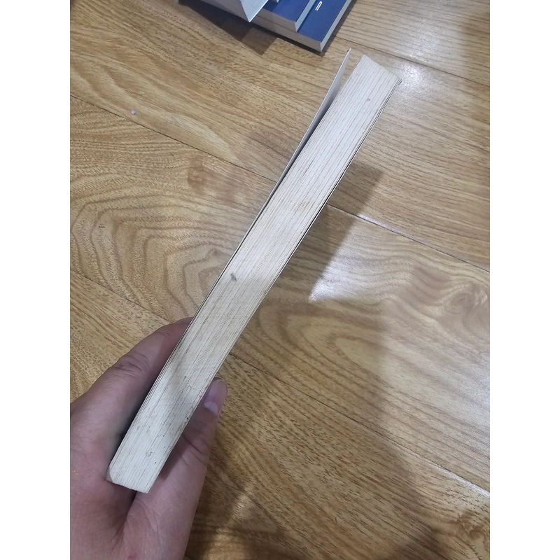 Cậu bé cưỡi rồng tập 2 446712