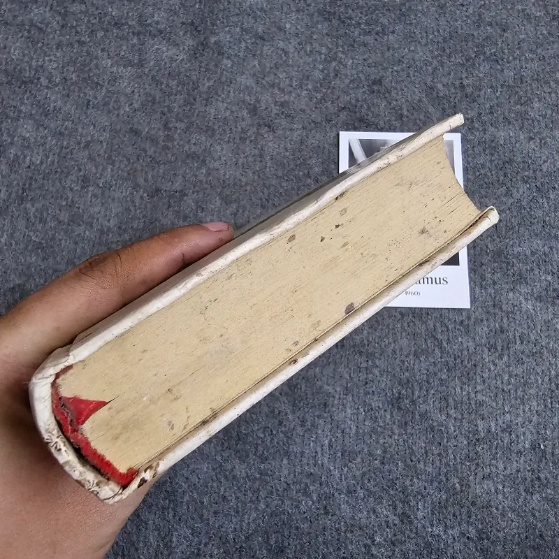 Duyên - bạch lạc mai - bìa cứng 936854