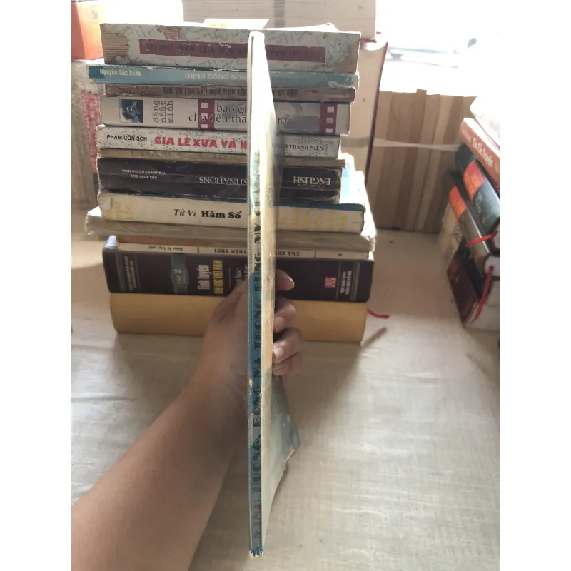 Bóng ma trong rừng Mỹ Châu 992440