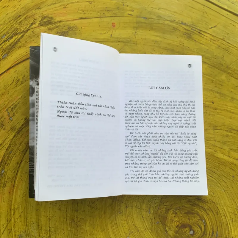  NÓI CHUYỆN VỚI THIÊN ĐƯỜNG - JAMES VAN PRAAGH 797853