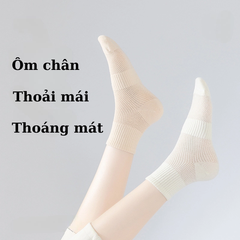 Combo 4 đôi vớ tất nữ cotton  thoáng khí 331977