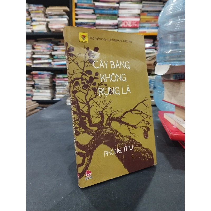 Cây bàng không rụng lá - Phong Thu 180003