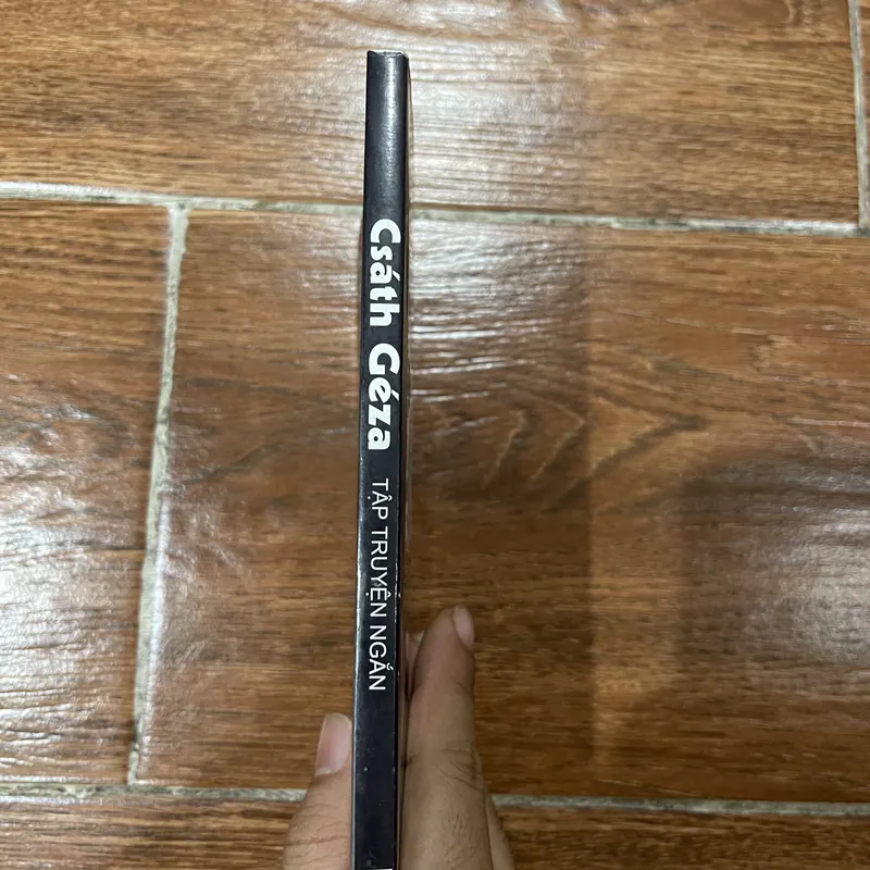 Tập truyện ngắn - Csáth Géza (8) 591465