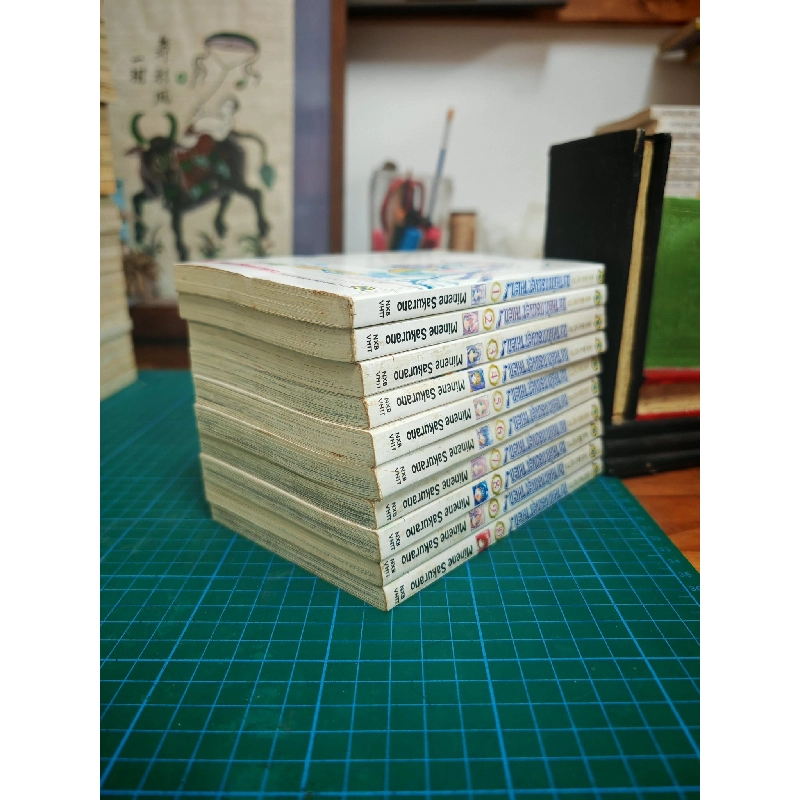 Truyện Tranh Hãy Bảo Vệ Tôi, Nữ Thần Nguyệt Thiên! 738892