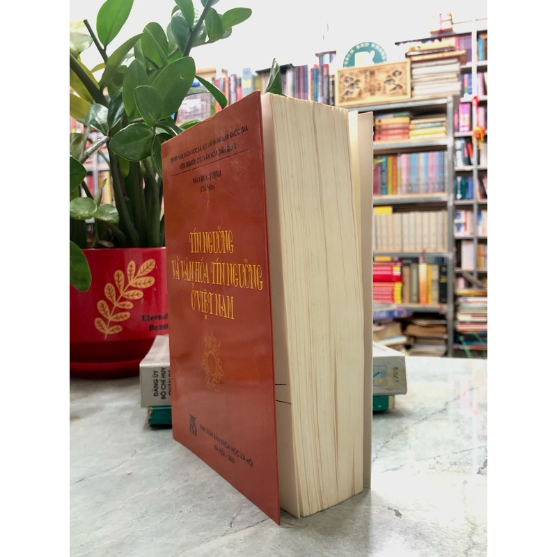 TÍN NGƯỠNG VÀ VĂN HOÁ TÍN NGƯỠNG Ở VIỆT NAM - Ngô Đức Thịnh 360029