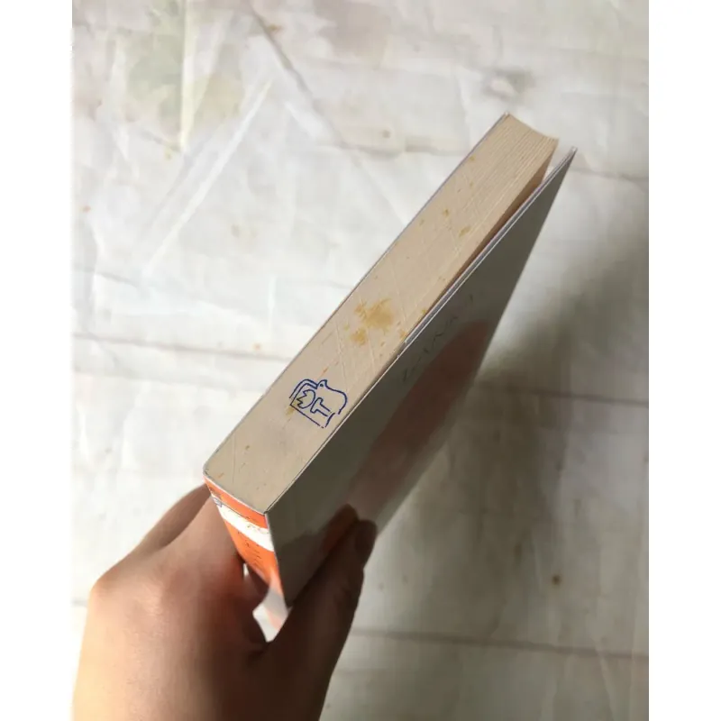 Những Người Bạn Của Mặt Trời - Lanka 751561