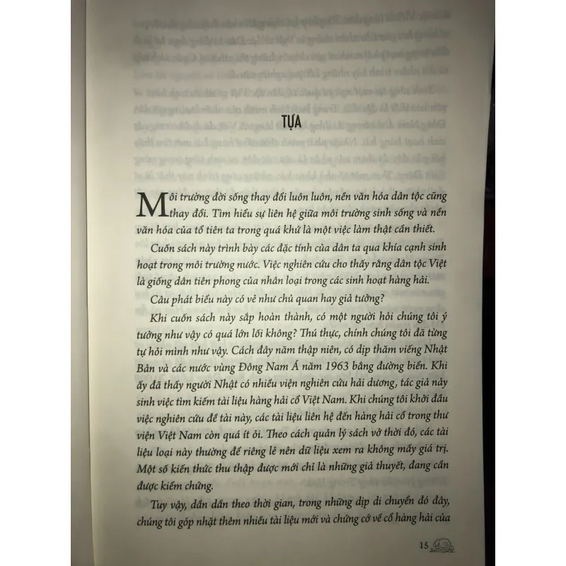 Văn hoá nước và hàng Hải thời cổ của Việt Nam  747791