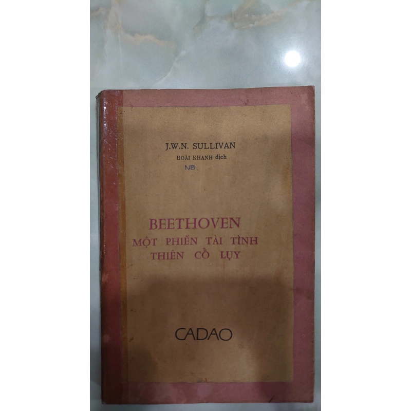 BEETHOVEN MỘT PHIẾN TÀI TÌNH THIÊN CỔ LỤY - J.W.N. Sullivan.

Dịch giả: Hoài Khanh
 314960