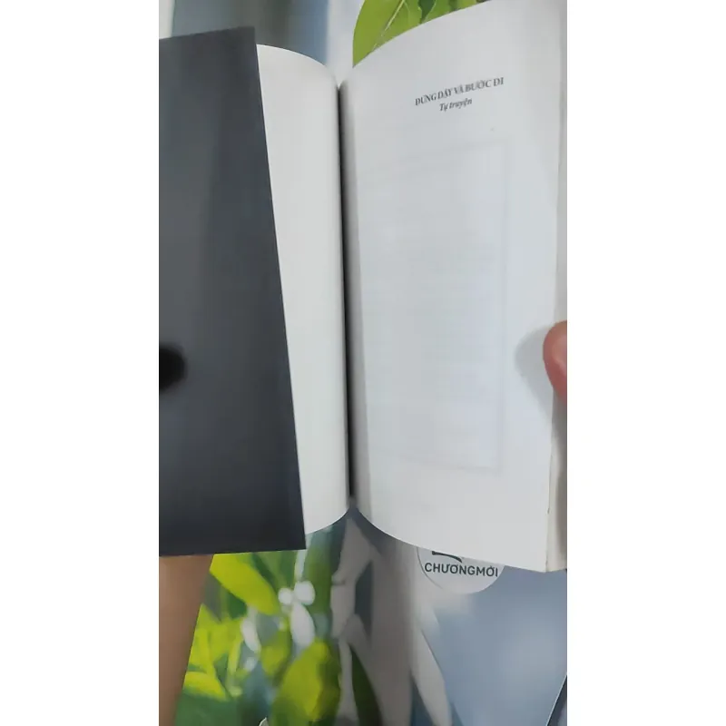 Đứng Dậy Và Bước Đi - Nguyễn Hướng Dương 798428