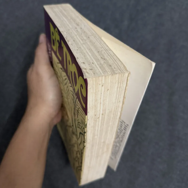 Bê trọc (CHỮ KÝ TÁC GIẢ) - Phạm Việt Long 995031