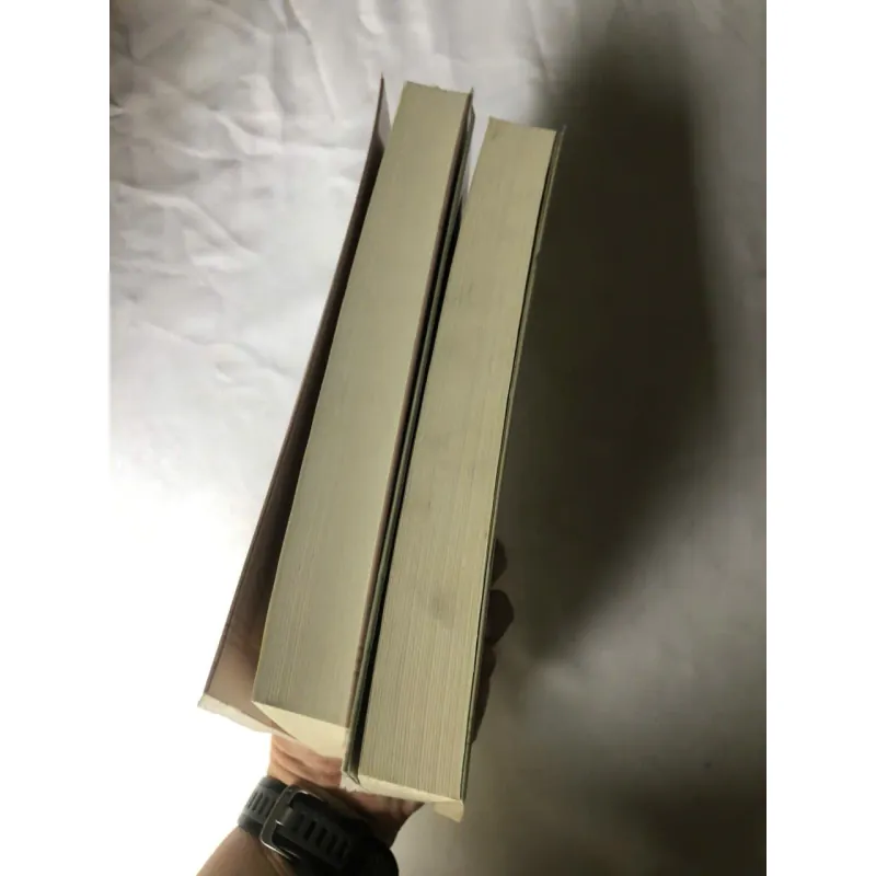 Trọn bộ 2 tập Tình sử Lorna Doone - R. D. Blackmore 1022828