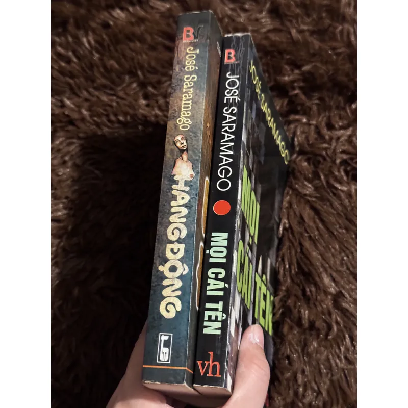 Combo hang động + mọi cái tên 708226