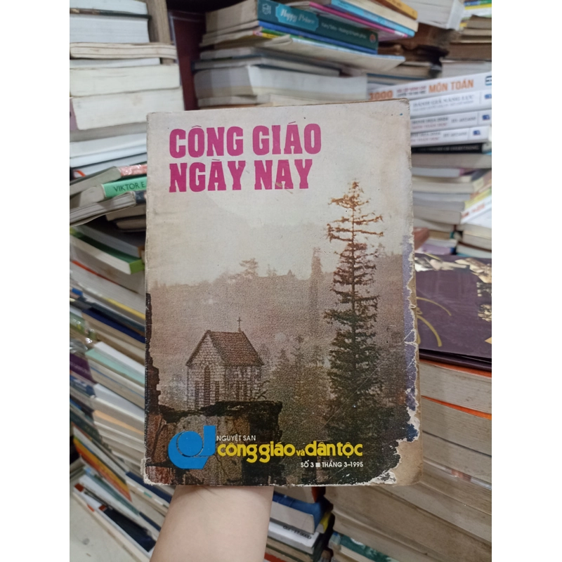 Công Giáo Ngày Nay 🌻 521502