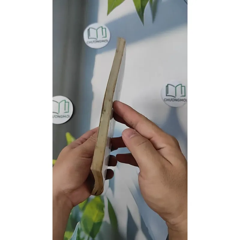 Truyện Kiều - Vũ Hữu Tiềm bình giải, chú thích và minh hoạ - Nguyễn Du 798331